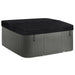 LS700DX Pillow Bundle - 7 Person, 90-Jet, 220-Volt, Sea Salt/ Coastal Gray with Spa Pillows Included!